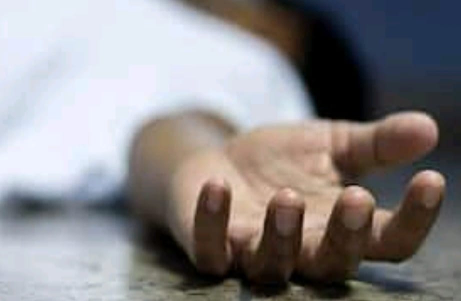 vardaannews.com