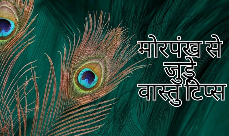 vardaannews.com