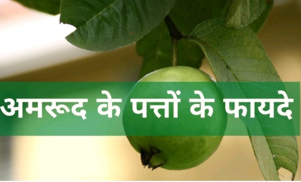 vardaannews.com