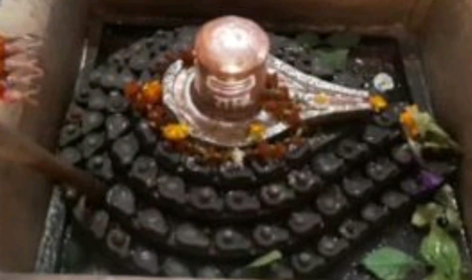 vardaannews.com